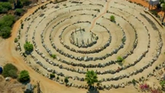 SAN JOSE DEL CABO MEXICO-2020: Big Tall Green Trees And Vast Area With Sand
