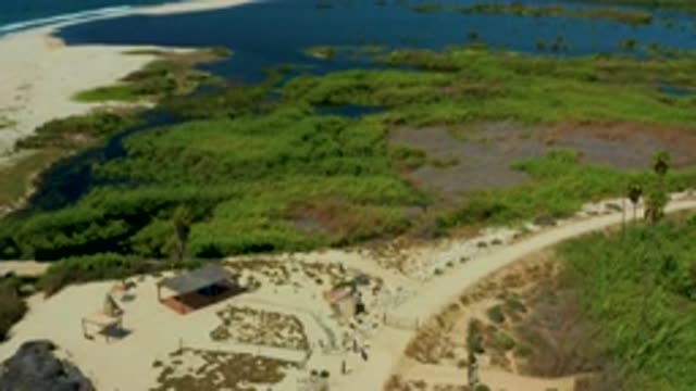 SAN JOSE DEL CABO MEXICO-2020: Take A Look At This Lake Close Up See All The