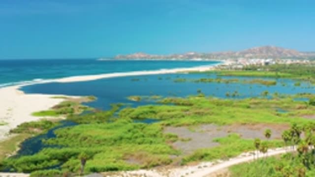 SAN JOSE DEL CABO MEXICO-2020: Blue Sea Water Tall Trees And Short Bushes