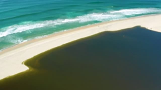 SAN JOSE DEL CABO MEXICO-2020: A Tropical Beach So Beautiful To See
