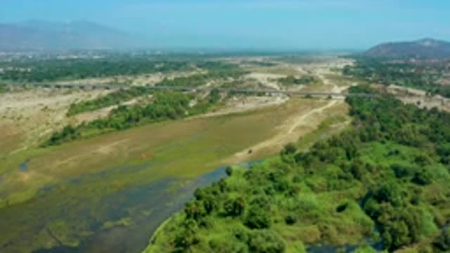 SAN JOSE DEL CABO MEXICO-2020: Green Tall Trees And Short Bushes Muddy Road