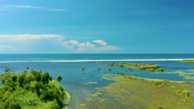 SAN JOSE DEL CABO MEXICO-2020: All The Wildlife You Could Find Within The Green