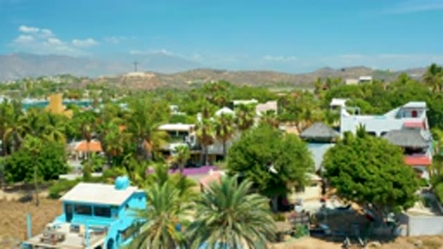 SAN JOSE DEL CABO MEXICO-2020: Big and Small Houses Among Tall Green Trees