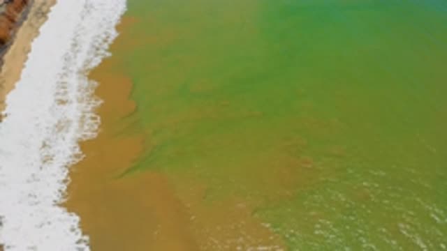 SAN JOSE DEL CABO MEXICO-2020: Green Sea Water White Waves Hitting The Long Beach