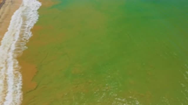 SAN JOSE DEL CABO MEXICO-2020: Green Sea With Brown Shade Beautify Waves Foam