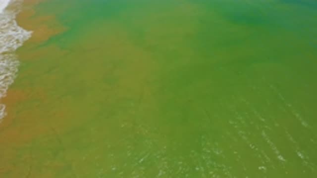 SAN JOSE DEL CABO MEXICO-2020: Yellow And Green Water Near The Chemical Plant