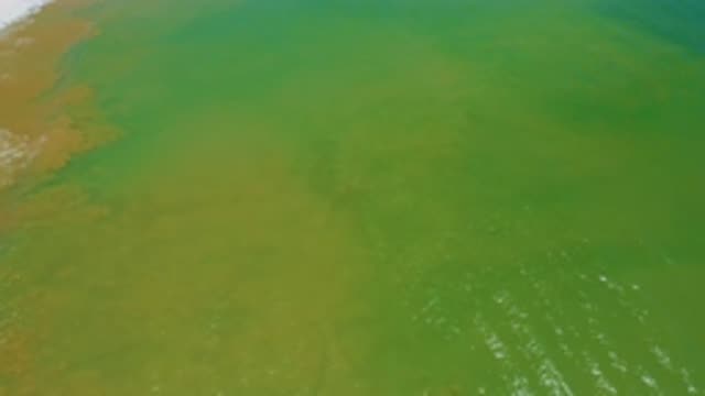 SAN JOSE DEL CABO MEXICO-2020: Sea Green Waters In Mexico