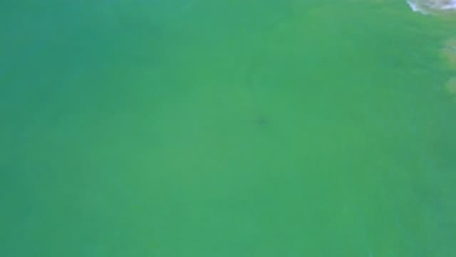 SAN JOSE DEL CABO MEXICO-2020: Green And Blue Sea Water With Mild Waves