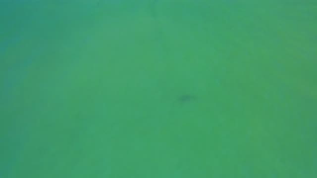 SAN JOSE DEL CABO MEXICO-2020: Waters Moved By The Wind Where In The Depth Two