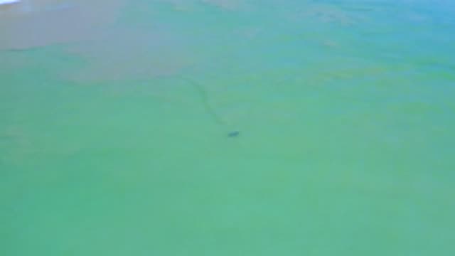 SAN JOSE DEL CABO MEXICO-2020: Flyby Footage Captures Unknown Object Leaving Trail