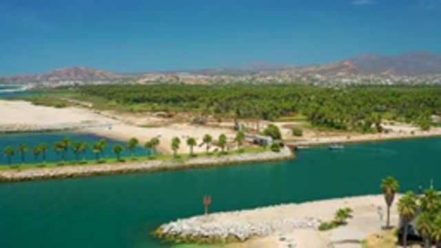 SAN JOSE DEL CABO MEXICO-2020: Tropical Landscape With Green Palms Calm Canal