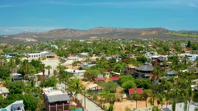 SAN JOSE DEL CABO MEXICO-2020: Homes And Streets Surrounded By Trees Covers A