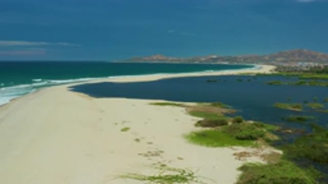 SAN JOSE DEL CABO MEXICO-2020: White Sand Beach Ocean On Left And Swamp Area On Right