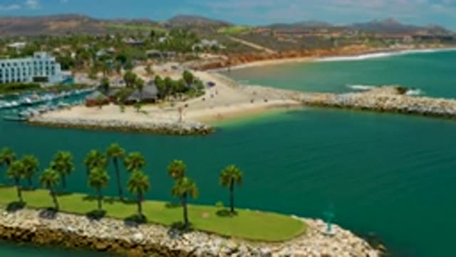 SAN JOSE DEL CABO MEXICO-2020: Tall Green Trees Arranged on the Lawn Near White Buildings