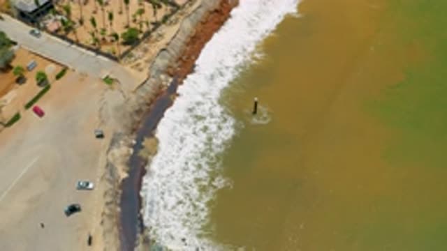 SAN JOSE DEL CABO MEXICO-2020: Algal Blooms Created By Local Power Plant Dumping