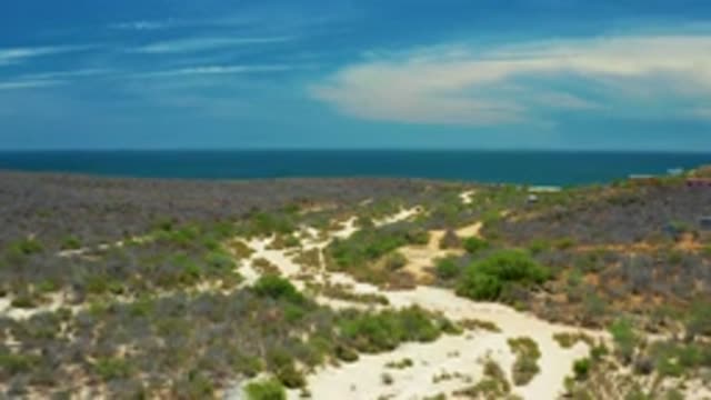SAN JOSE DEL CABO MEXICO-2020: Completely Vacant Rural Dirt Road Which Leads To