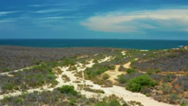 SAN JOSE DEL CABO MEXICO-2020: Muddy Roads Green Bushes Both Sides Blue Sea Vast