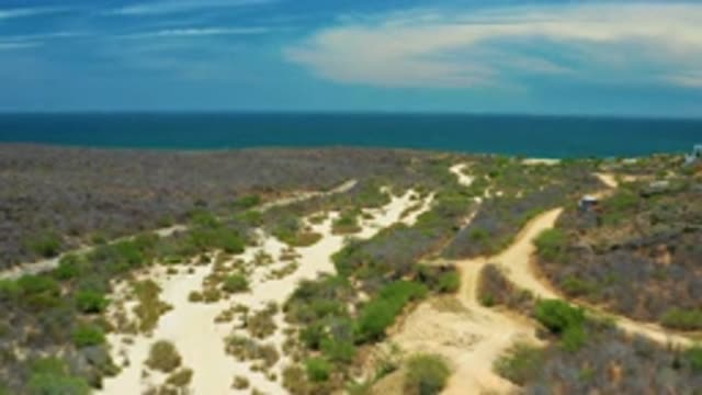SAN JOSE DEL CABO MEXICO-2020: Beautiful Vast Desert With Very Little Visible