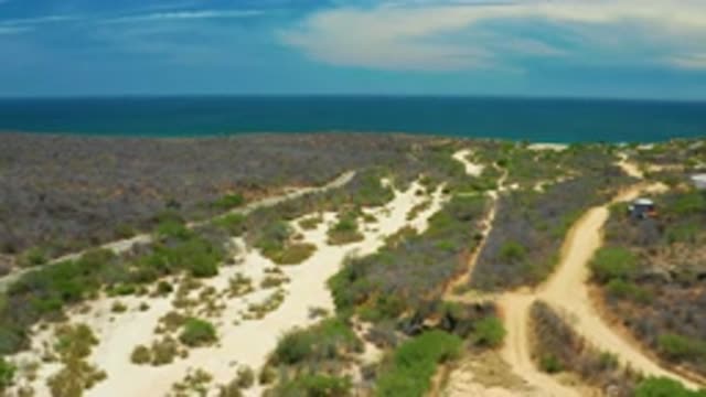 SAN JOSE DEL CABO MEXICO-2020: A Vast Hot Desert Landscape Of Dirt Roads