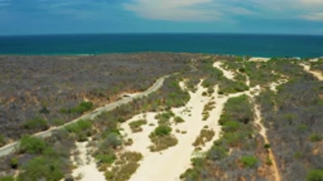 SAN JOSE DEL CABO MEXICO-2020: A Road And Sandy Trails Cut Through Scrub Brush