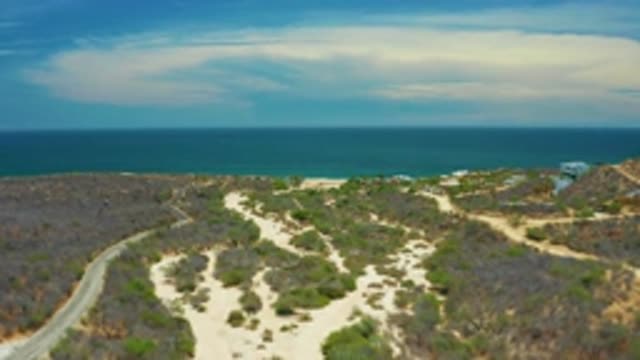 SAN JOSE DEL CABO MEXICO-2020: A Flight To The Sea