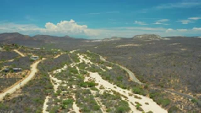 SAN JOSE DEL CABO MEXICO-2020: Nature At Its Best