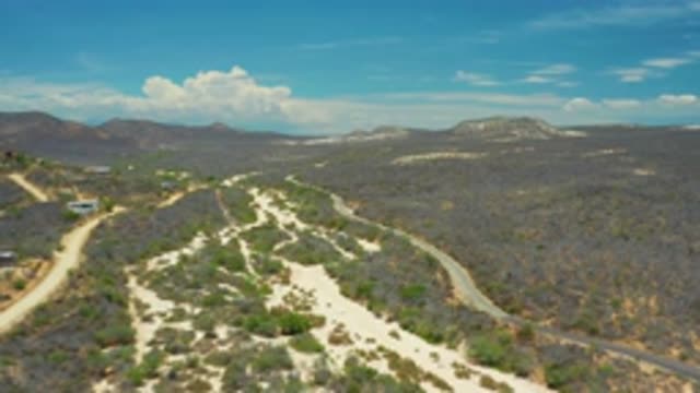 SAN JOSE DEL CABO MEXICO-2020: A Green Grass Under Blue Sky With White Clouds