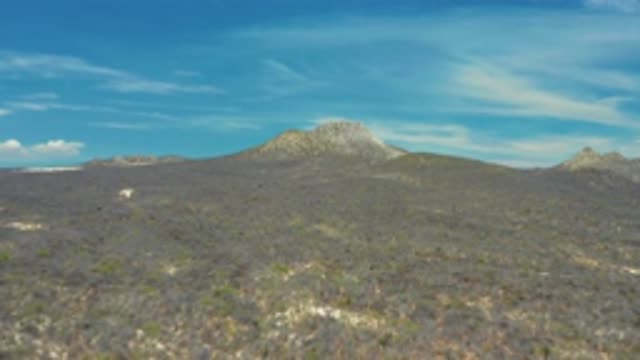 SAN JOSE DEL CABO MEXICO-2020: Forestry Mountains And Cliffs