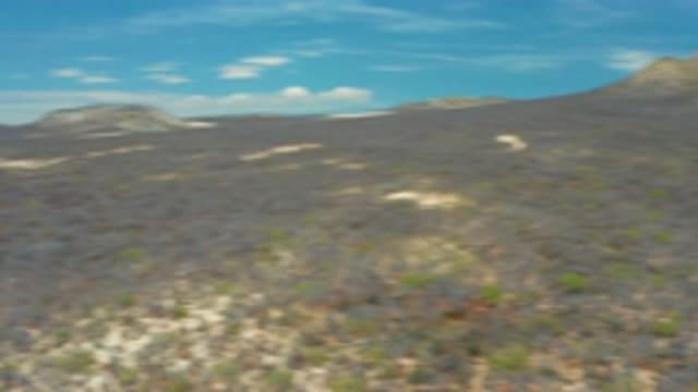 SAN JOSE DEL CABO MEXICO-2020: Desert Mountains Dry Foliage Sunny Beach Water