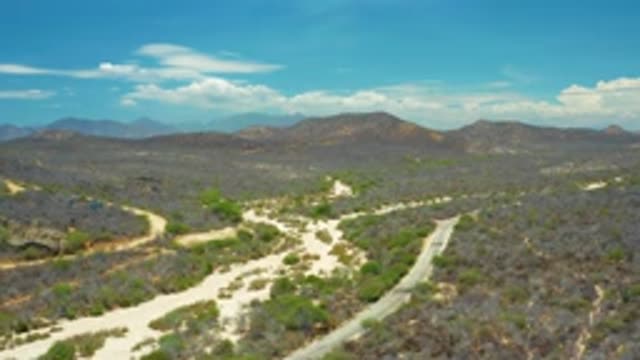 SAN JOSE DEL CABO MEXICO-2020: Beautiful Roads on Hillside Forest with Blue Sky
