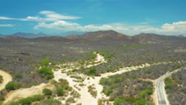 SAN JOSE DEL CABO MEXICO-2020: The Desert Landscape Viewed From A Top Position