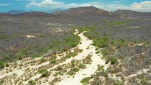 SAN JOSE DEL CABO MEXICO-2020: Bird's Eye View Of The Woods