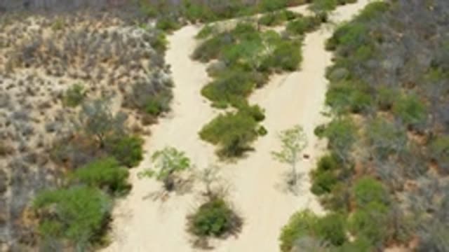 SAN JOSE DEL CABO MEXICO-2020: Lovely Place In The Middle Of Nowhere