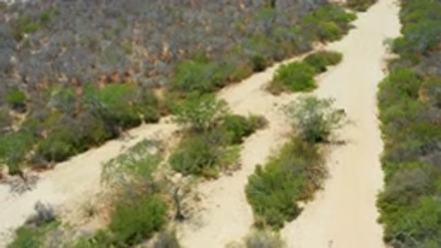 SAN JOSE DEL CABO MEXICO-2020: Take The Long Way To Unexplored Places And Find