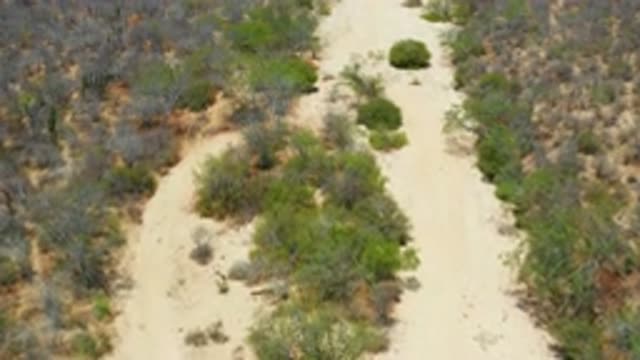 SAN JOSE DEL CABO MEXICO-2020: Panning Over Tan Dirt Path And Green Bushes