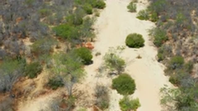 SAN JOSE DEL CABO MEXICO-2020: View From Above Of Dry And Desert Landscape With