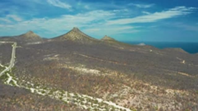 SAN JOSE DEL CABO MEXICO-2020: A Road Runs Through Brown Scrub Brush Toward