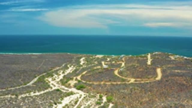 SAN JOSE DEL CABO MEXICO-2020: A Man-Made Forest Reserve That Demonstrates The