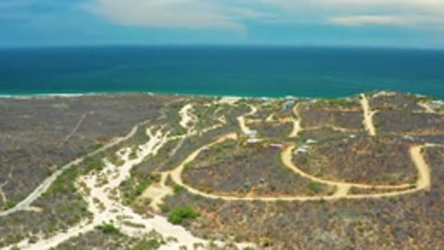 SAN JOSE DEL CABO MEXICO-2020: Paths Between Formations Of Trees And Forests