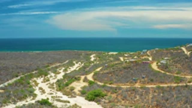 SAN JOSE DEL CABO MEXICO-2020: Tall Green Plants Line Narrow Roads Near the Sea
