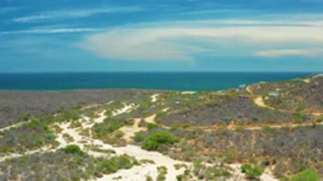 SAN JOSE DEL CABO MEXICO-2020: White Clouds In The Blue Vast Sky Green Short And Tall Plants