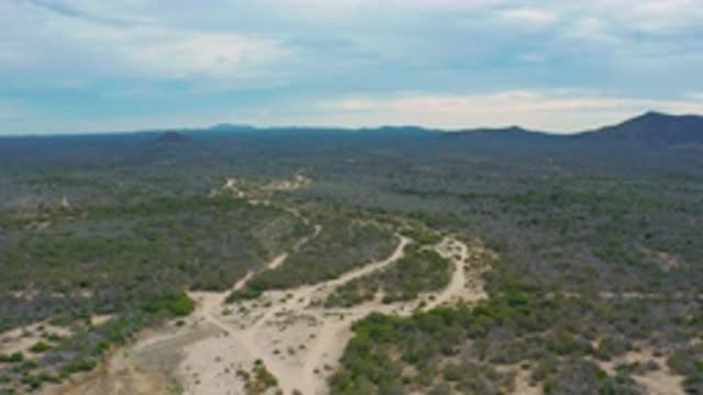 LAGUNA BEACH BCS MEXICO-2020: Sand Roadway Located Between Trees