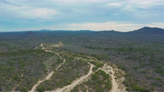 LAGUNA BEACH BCS MEXICO-2020: Zooming View Of Trees And Shrubs In A Mountain Landscape
