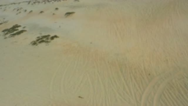 M12-20-1046-08-02-20-2020-laguna-beach-bcs-mexico-DJI_0876_0001.mp4