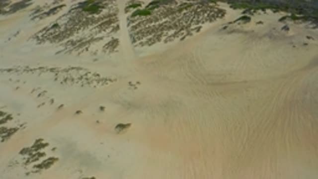 M12-20-1047-08-02-20-2020-laguna-beach-bcs-mexico-DJI_0876_0002.mp4