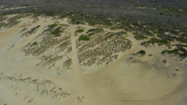 LAGUNA BEACH BCS MEXICO-2020: Slowly Rising Drone Video Of A Sand Dune With