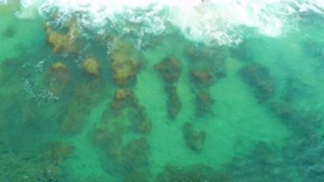 M12-20-1083-08-02-20-2020-laguna-beach-bcs-mexico-DJI_0886_0001.mp4