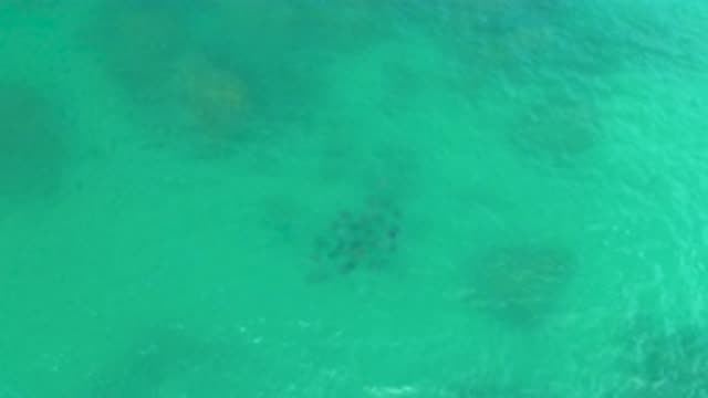 LAGUNA BEACH BCS MEXICO-2020: Aerial View Of Rocky Ocean Floor
