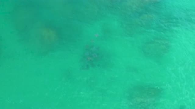 M12-20-1088-08-02-20-2020-laguna-beach-bcs-mexico-DJI_0887_0002.mp4