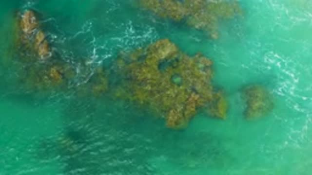 LAGUNA BEACH BCS MEXICO-2020: Coral Reef In Clear Ocean Water With Small Waves